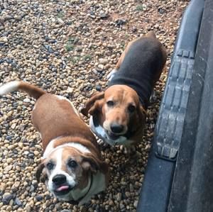 Meet your Posher, Manuel